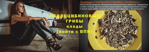 не бодяженный Гусев